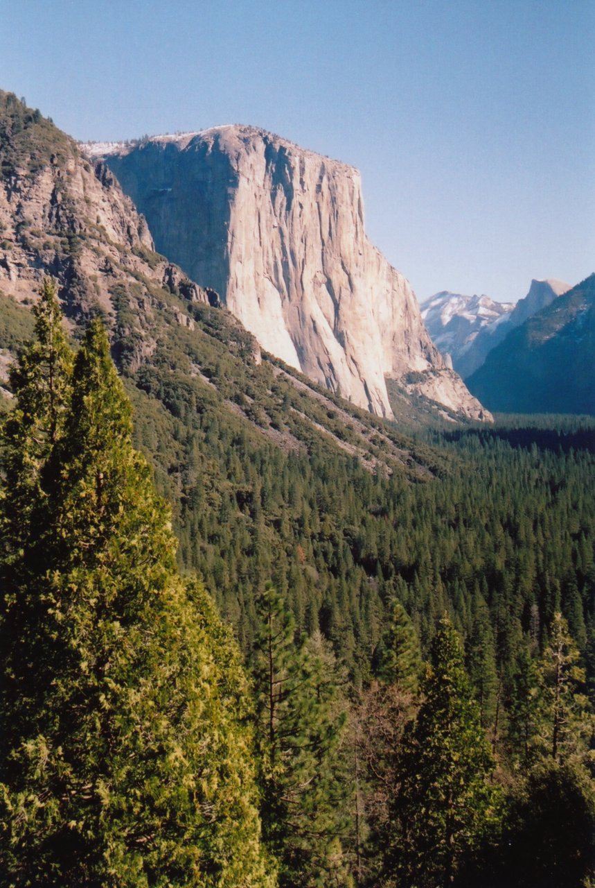 A M and Kids Yosemite 4